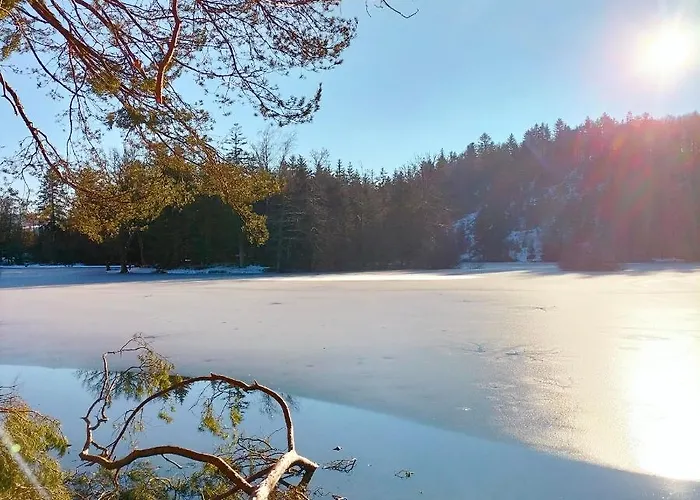 La Roulotte Belle Fleur Kemp *